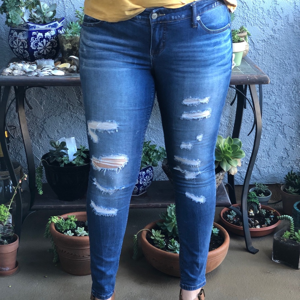 Torrid Jeans
